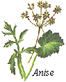 Growing Tips for the Herb Garden Image